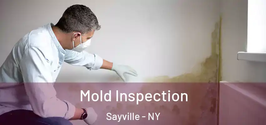  Mold Inspection Sayville - NY