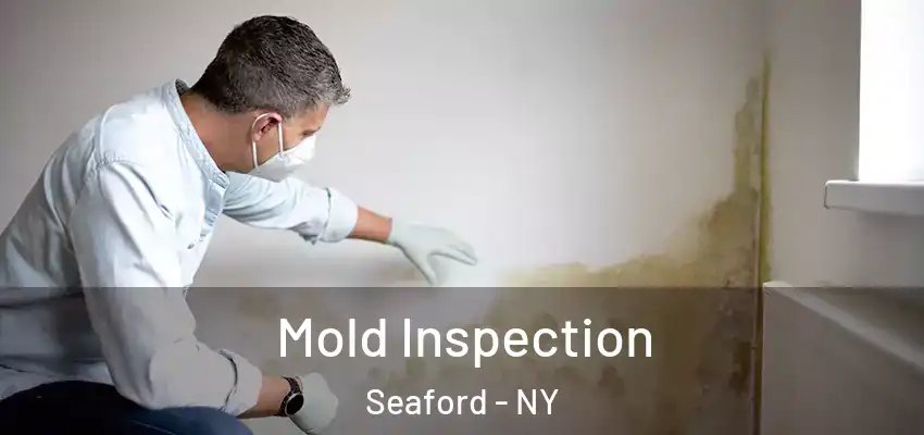 Mold Inspection Seaford - NY