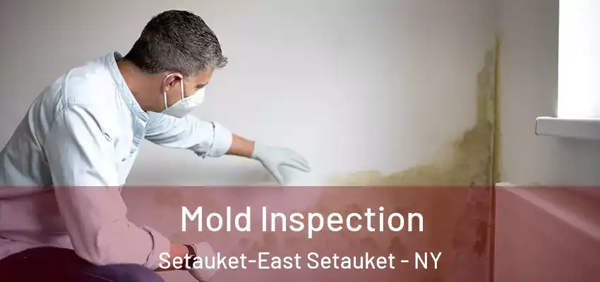  Mold Inspection Setauket-East Setauket - NY