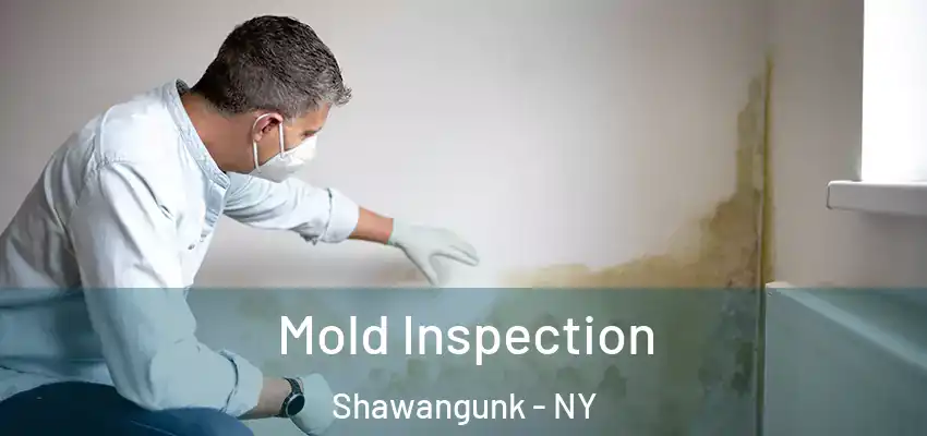 Mold Inspection Shawangunk - NY