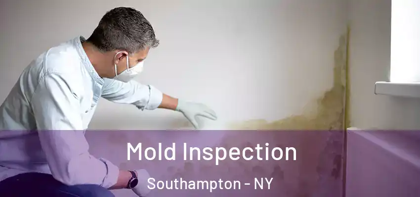  Mold Inspection Southampton - NY