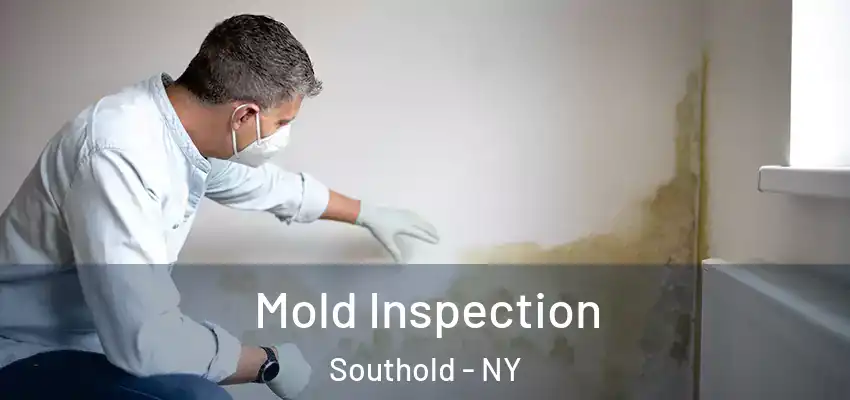  Mold Inspection Southold - NY