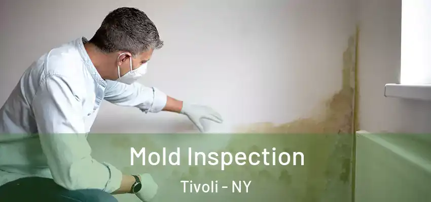  Mold Inspection Tivoli - NY