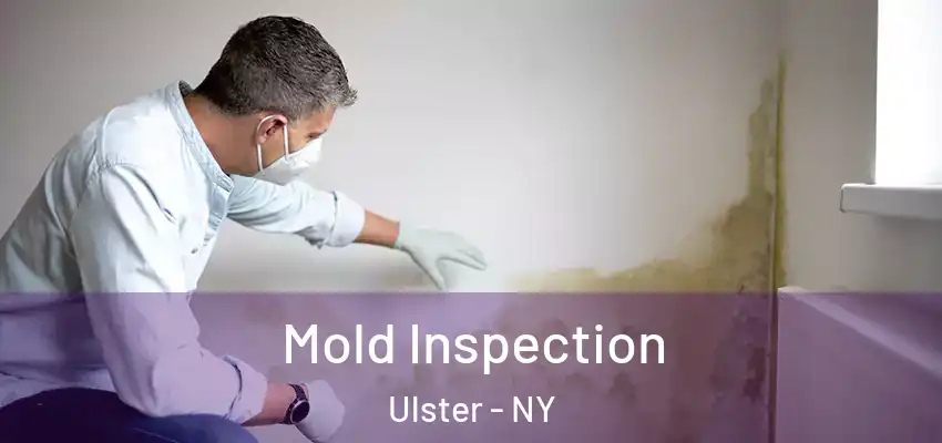 Mold Inspection Ulster - NY