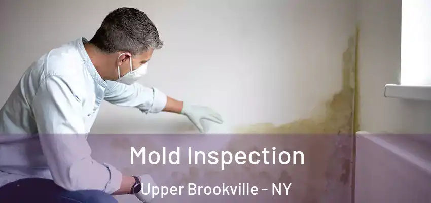 Mold Inspection Upper Brookville - NY