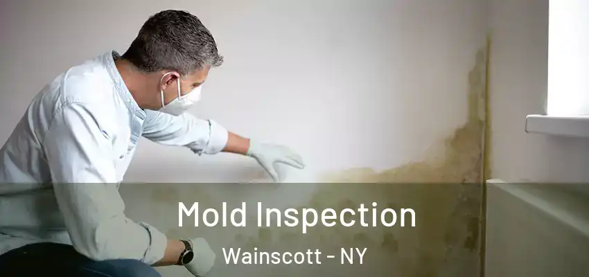 Mold Inspection Wainscott - NY