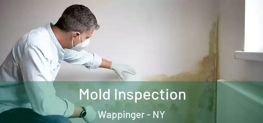  Mold Inspection Wappinger - NY