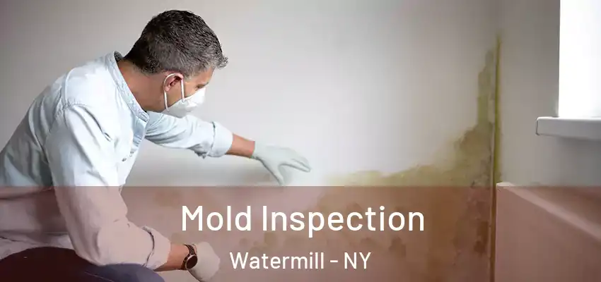 Mold Inspection Watermill - NY