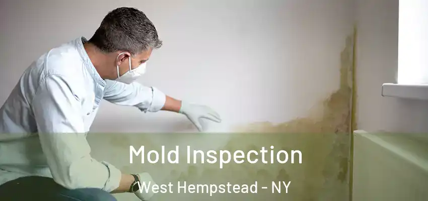  Mold Inspection West Hempstead - NY