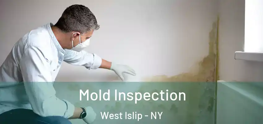 Mold Inspection West Islip - NY