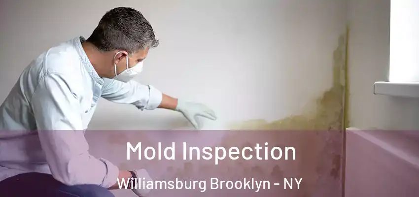  Mold Inspection Williamsburg Brooklyn - NY