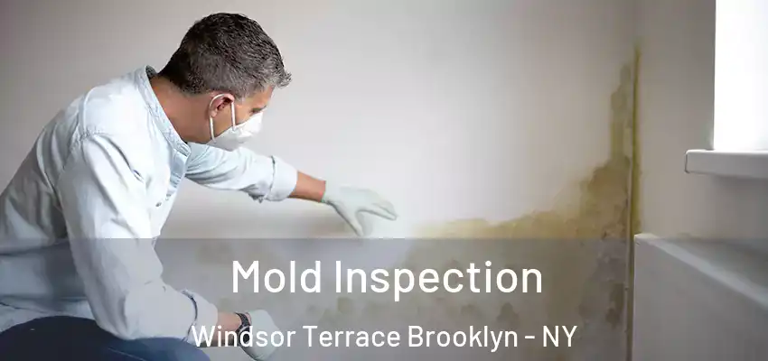 Mold Inspection Windsor Terrace Brooklyn - NY