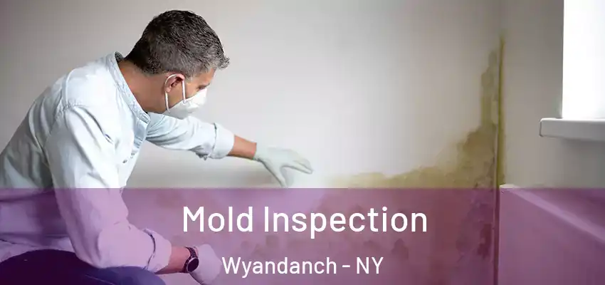  Mold Inspection Wyandanch - NY