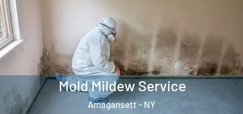  Mold Mildew Service Amagansett - NY