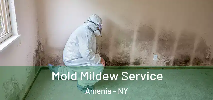  Mold Mildew Service Amenia - NY