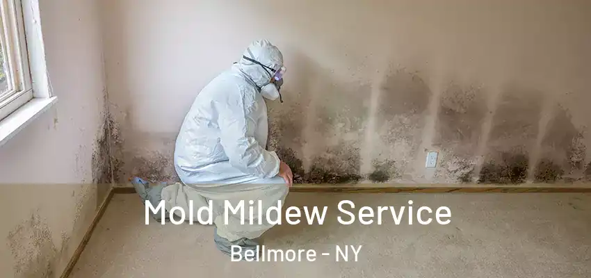 Mold Mildew Service Bellmore - NY