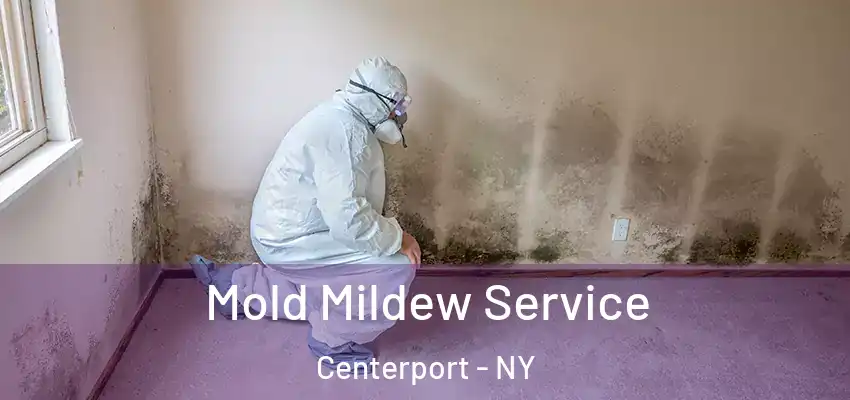  Mold Mildew Service Centerport - NY