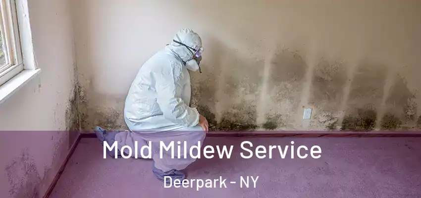 Mold Mildew Service Deerpark - NY