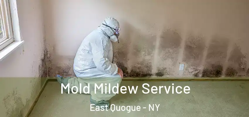  Mold Mildew Service East Quogue - NY