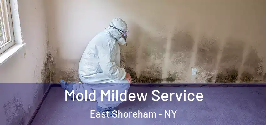  Mold Mildew Service East Shoreham - NY