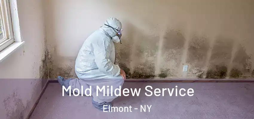  Mold Mildew Service Elmont - NY