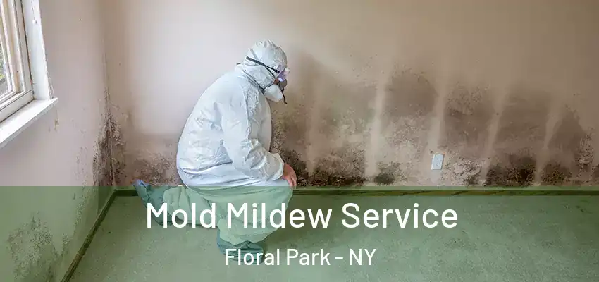  Mold Mildew Service Floral Park - NY