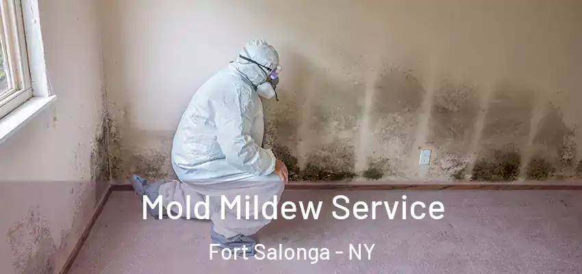  Mold Mildew Service Fort Salonga - NY