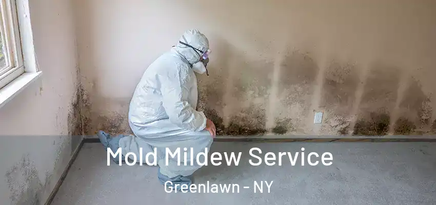  Mold Mildew Service Greenlawn - NY