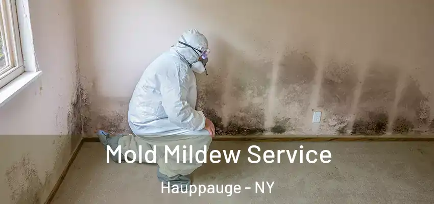 Mold Mildew Service Hauppauge - NY