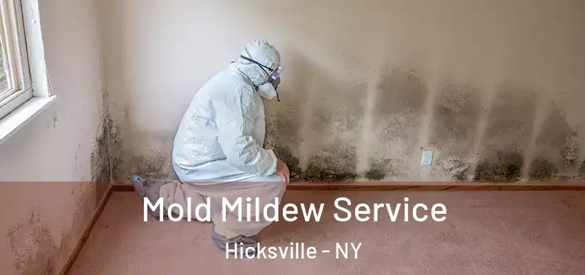  Mold Mildew Service Hicksville - NY