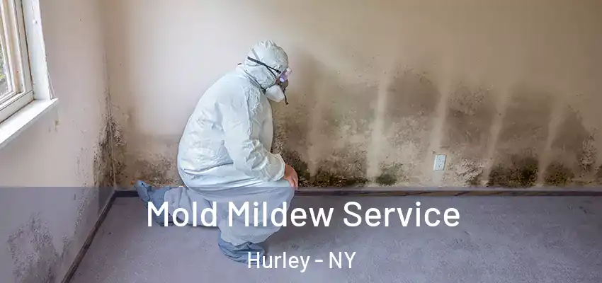 Mold Mildew Service Hurley - NY