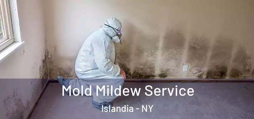  Mold Mildew Service Islandia - NY