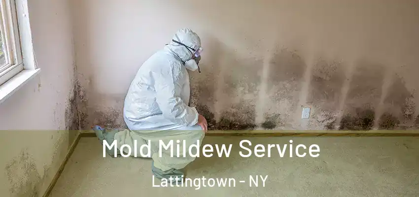  Mold Mildew Service Lattingtown - NY