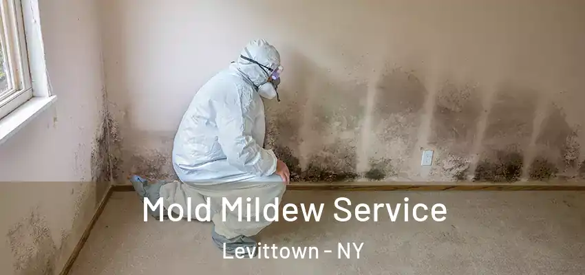 Mold Mildew Service Levittown - NY