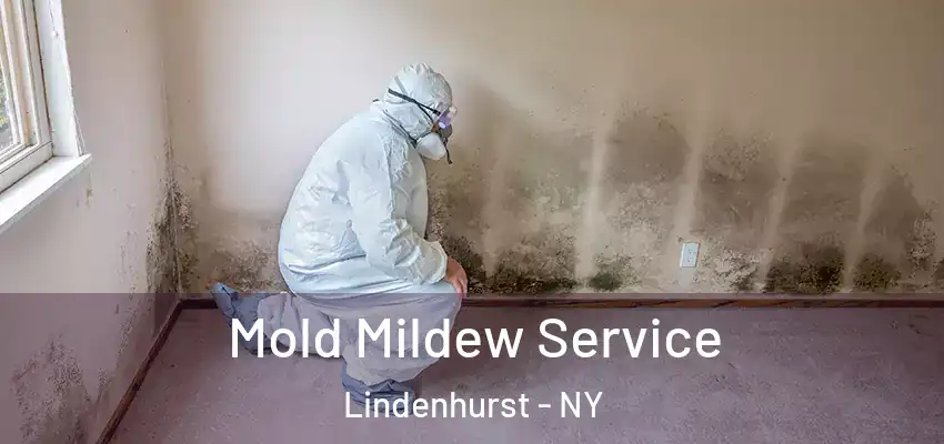 Mold Mildew Service Lindenhurst - NY
