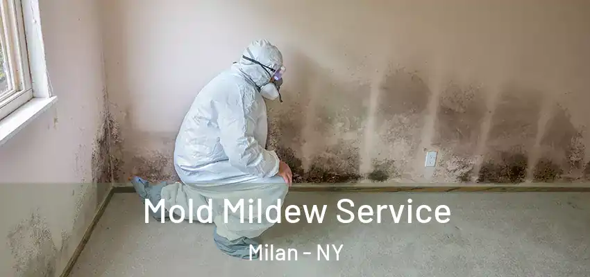 Mold Mildew Service Milan - NY