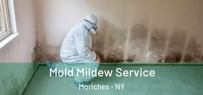  Mold Mildew Service Moriches - NY