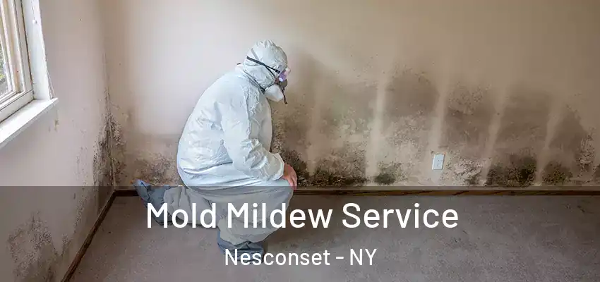 Mold Mildew Service Nesconset - NY