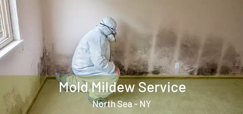  Mold Mildew Service North Sea - NY