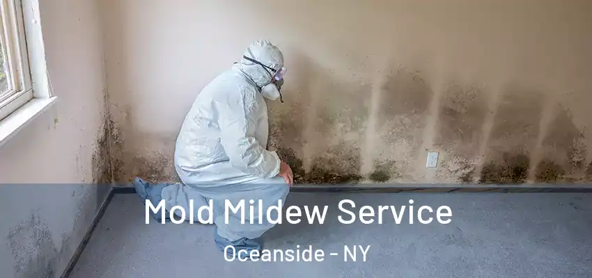 Mold Mildew Service Oceanside - NY
