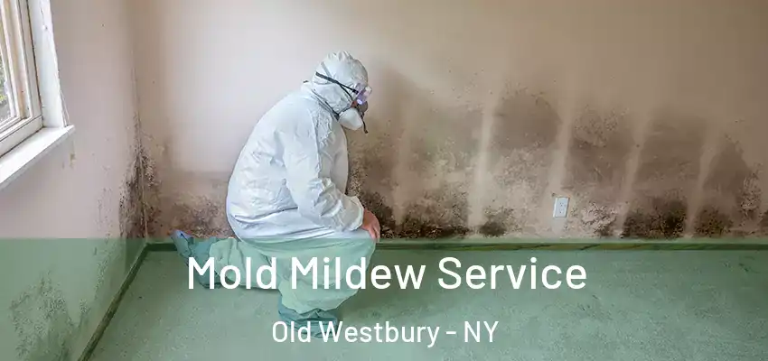  Mold Mildew Service Old Westbury - NY