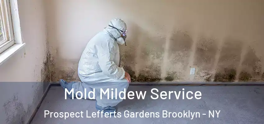Mold Mildew Service Prospect Lefferts Gardens Brooklyn - NY