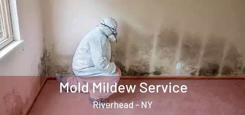 Mold Mildew Service Riverhead - NY