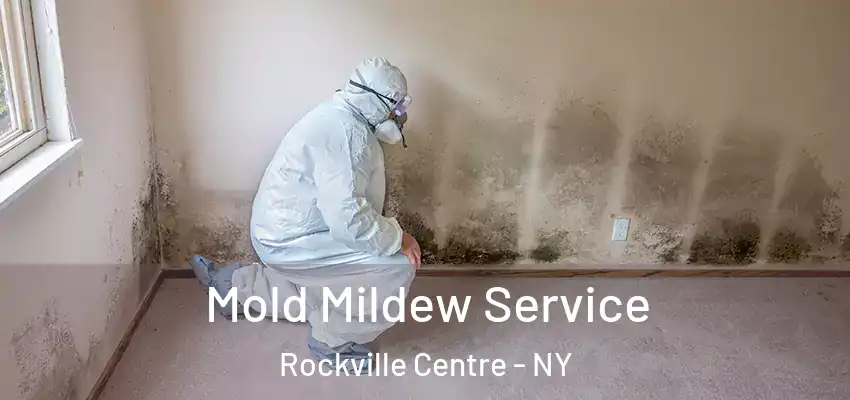  Mold Mildew Service Rockville Centre - NY