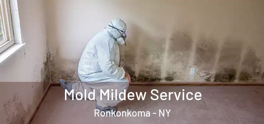  Mold Mildew Service Ronkonkoma - NY
