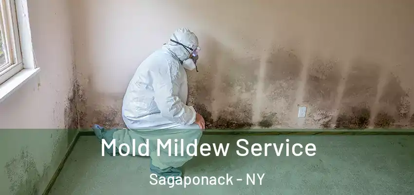 Mold Mildew Service Sagaponack - NY