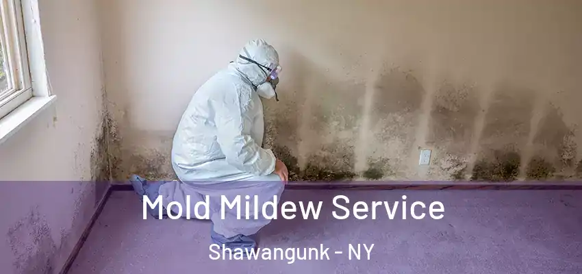 Mold Mildew Service Shawangunk - NY