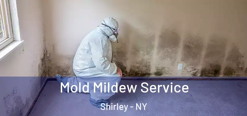  Mold Mildew Service Shirley - NY