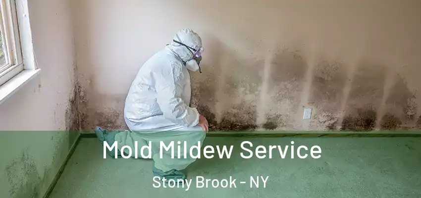 Mold Mildew Service Stony Brook - NY
