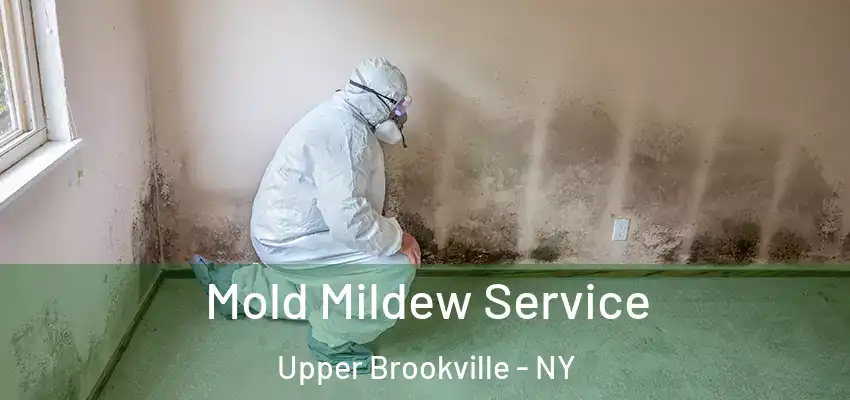 Mold Mildew Service Upper Brookville - NY